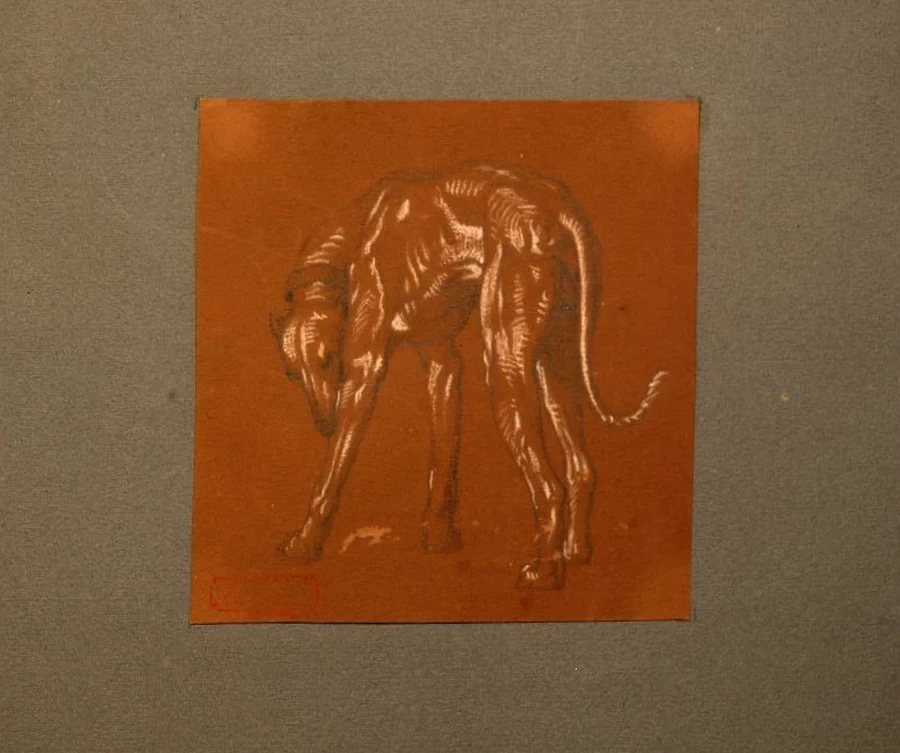 Levriere - Galleria Civica d’Arte Moderna e Contemporanea, Torino